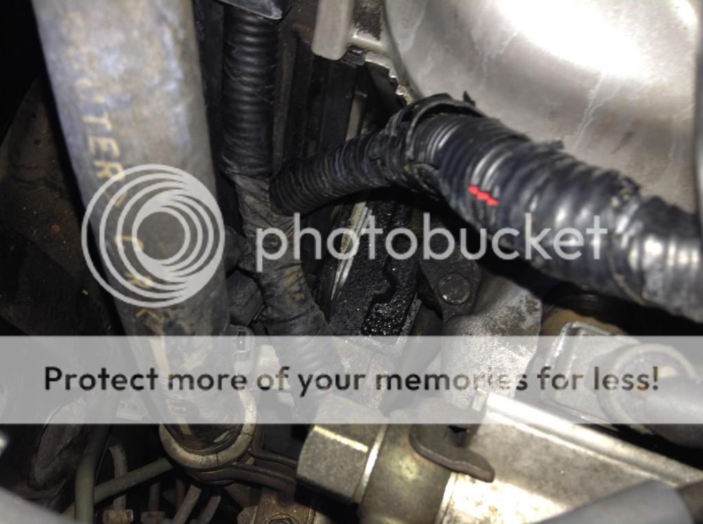 Oil leak after Timing Belt replacement HondaTech Honda Forum